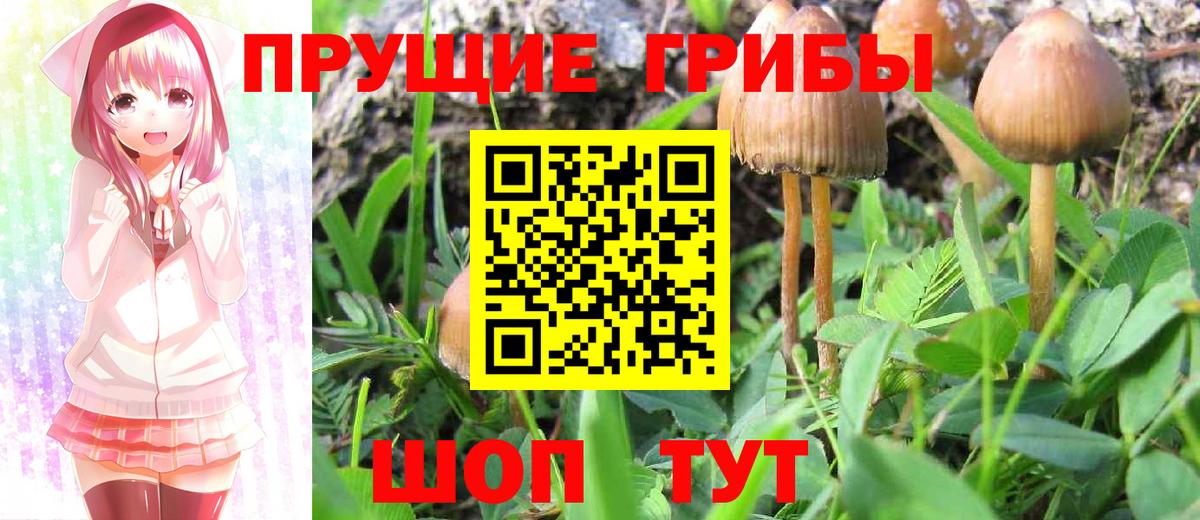 Псилоцибиновые грибы Magic Shrooms  Вход с VPN  Галлюциногенные грибы GOLDEN TEACHER  Сыктывкар 
